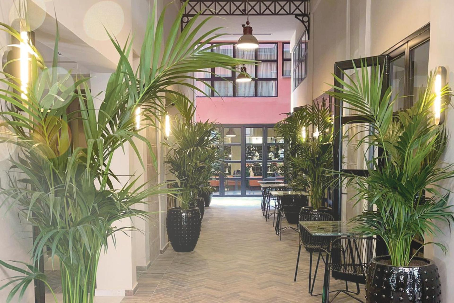 Anise, Aluma Hotels & Resorts Athena Bagian luar foto